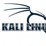 Kali Linux - установка на флешку: инструкция Kali linux установка на диск